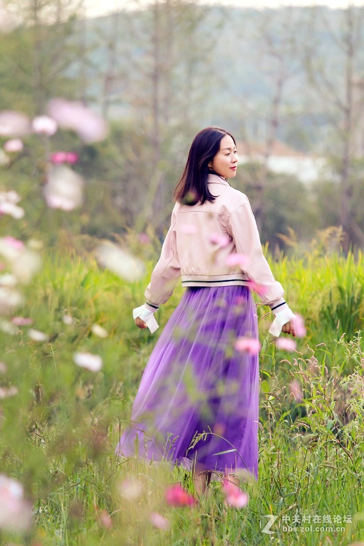 野花从中撒点盐