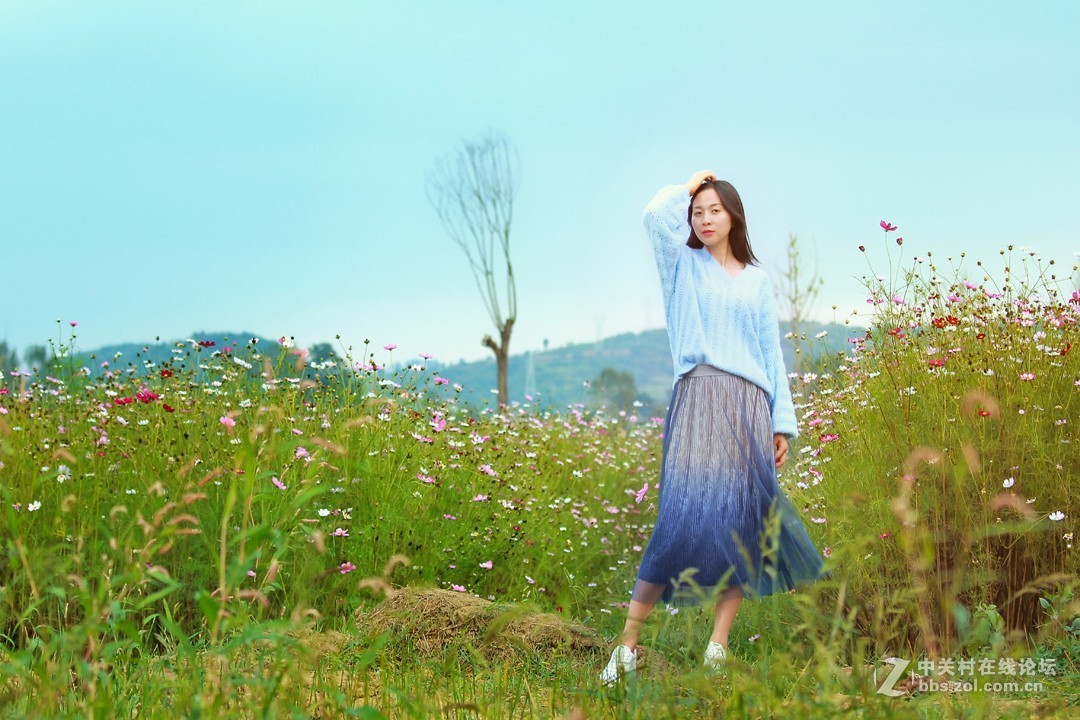 野花从中撒点盐