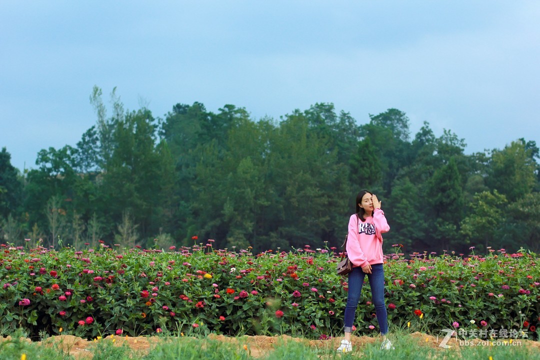 野花从中撒点盐
