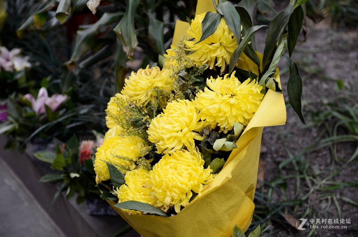 文殊院始建于隋大业年间（605-617）。康熙三十六年（1697年）集资重建庙宇，改称文殊