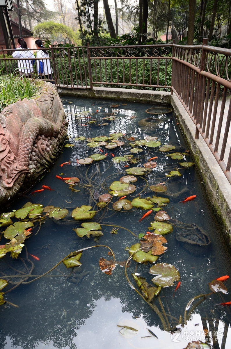 文殊院始建于隋大业年间（605-617）。康熙三十六年（1697年）集资重建庙宇，改称文殊