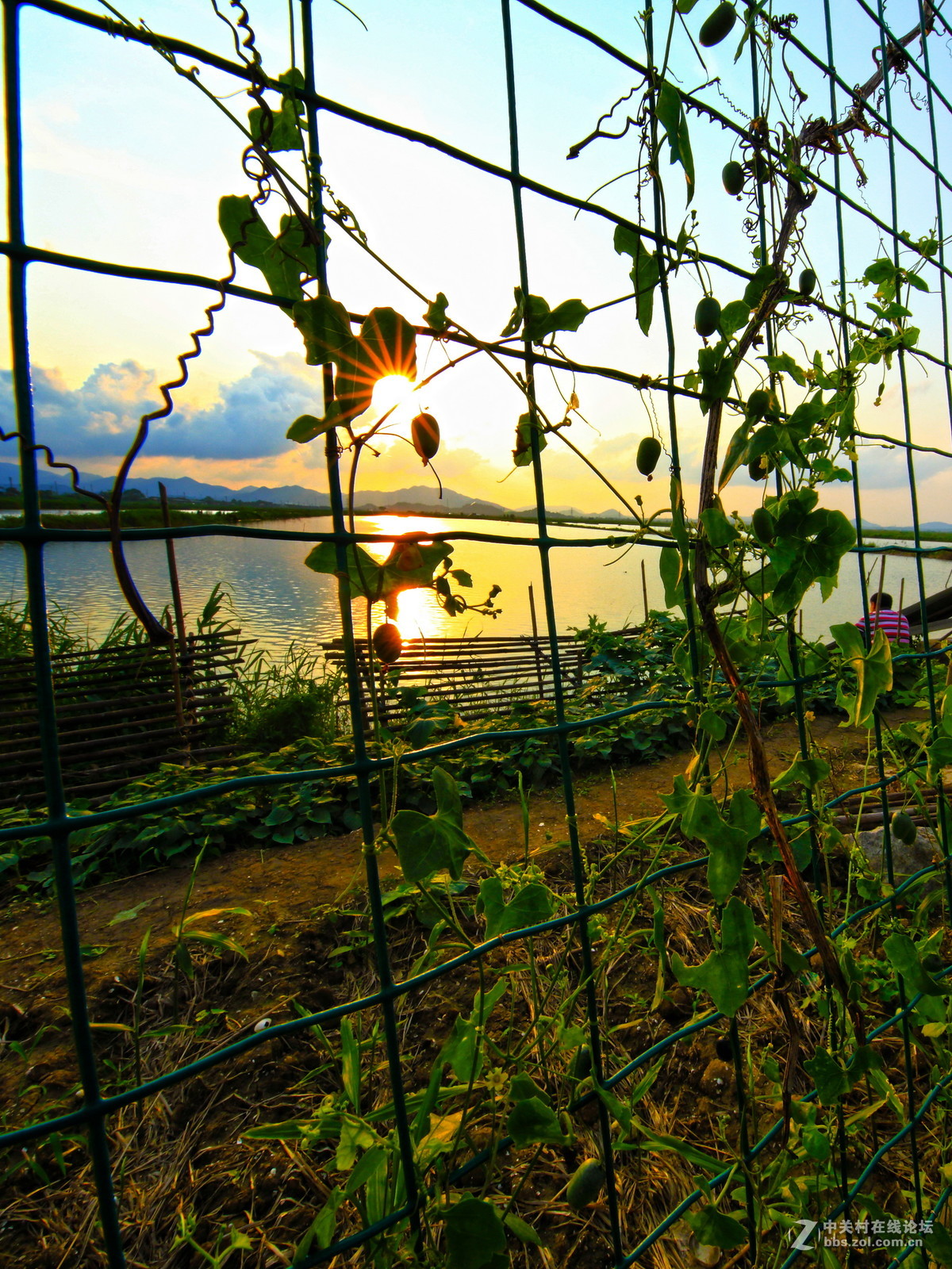 日落，色友，惬意！