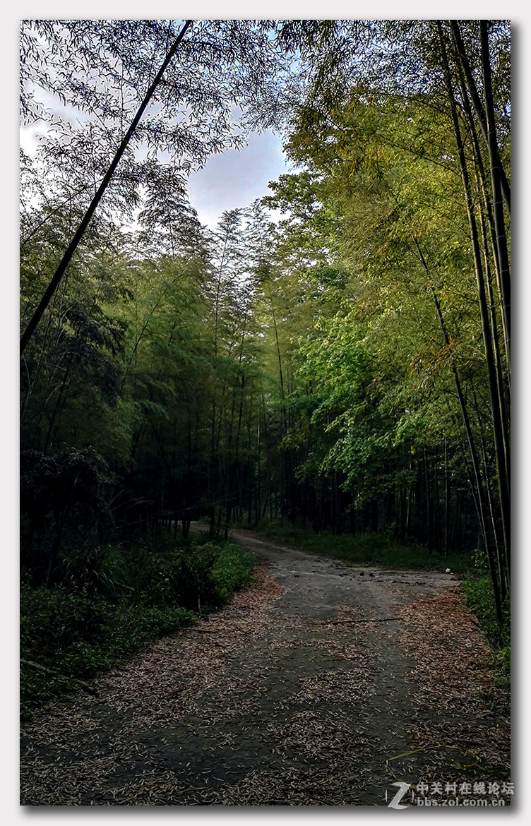 无题—手机杂拍