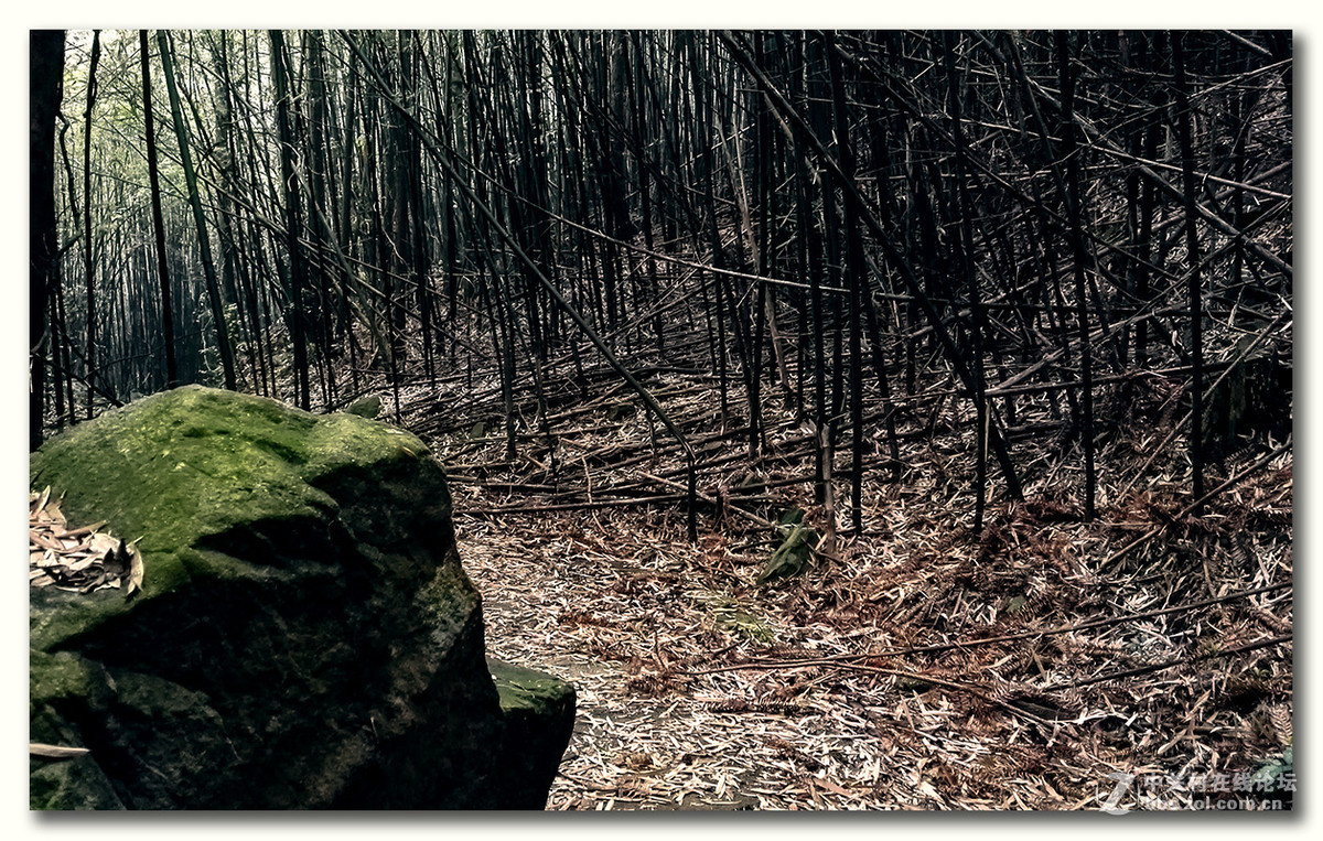 无题—手机杂拍