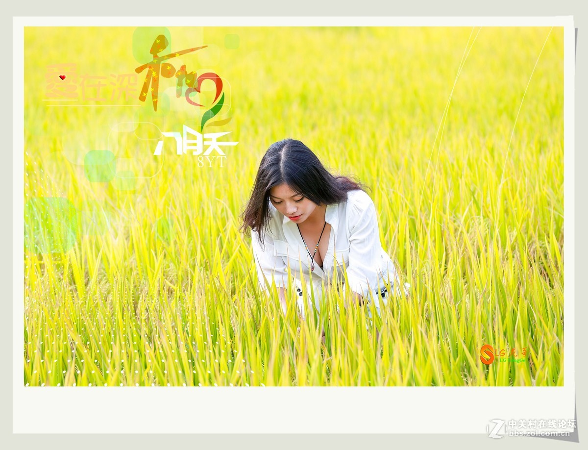 爱在深秋八月天