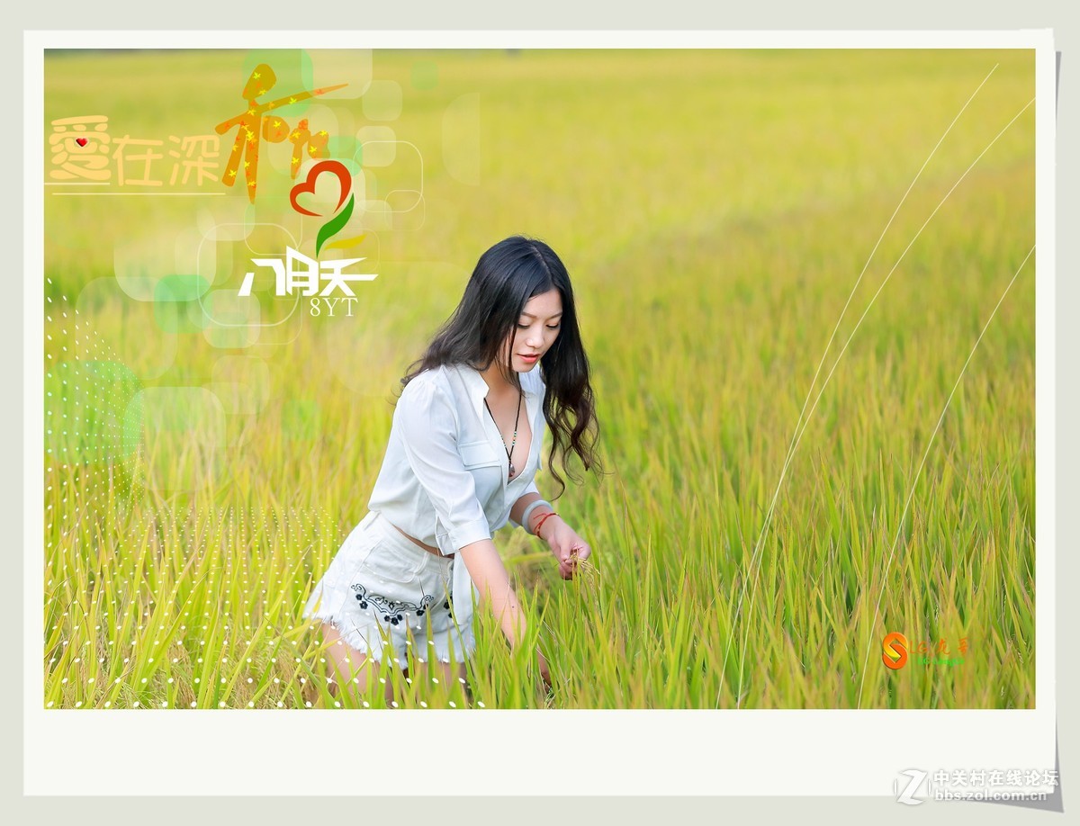 爱在深秋八月天