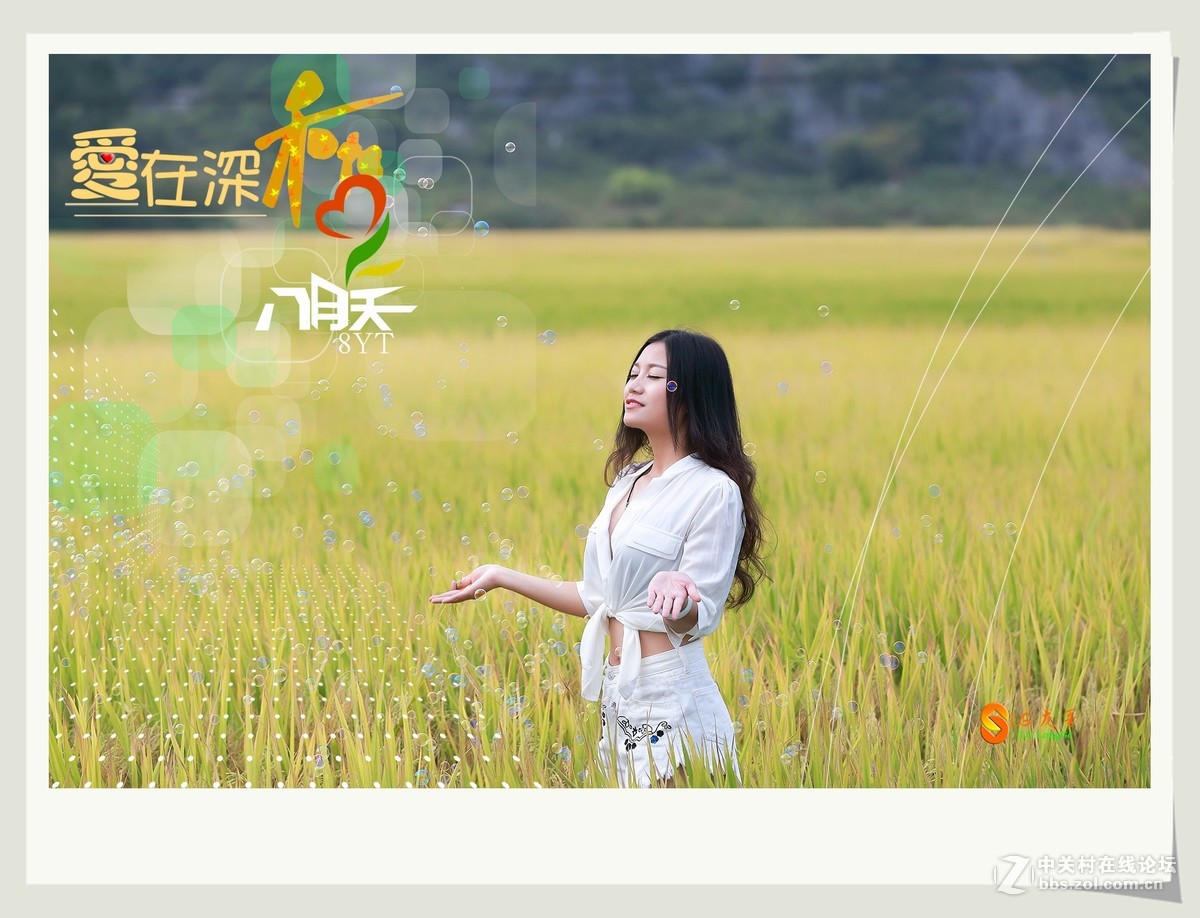 爱在深秋八月天