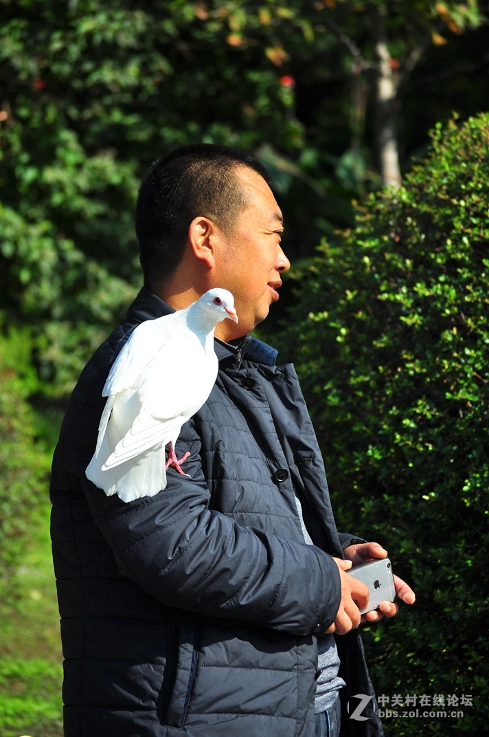 受宠若惊
