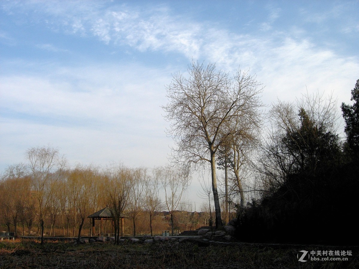 e5200拍的几张风景