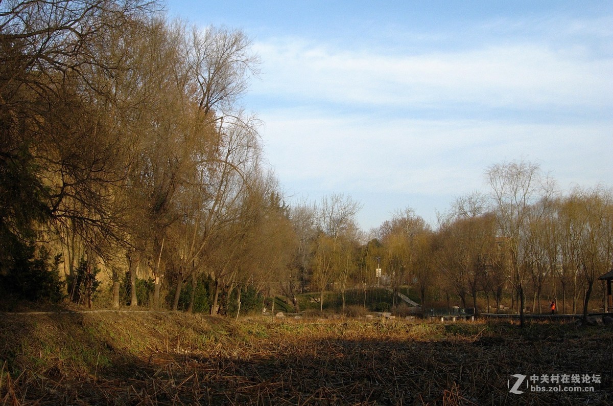 e5200拍的几张风景