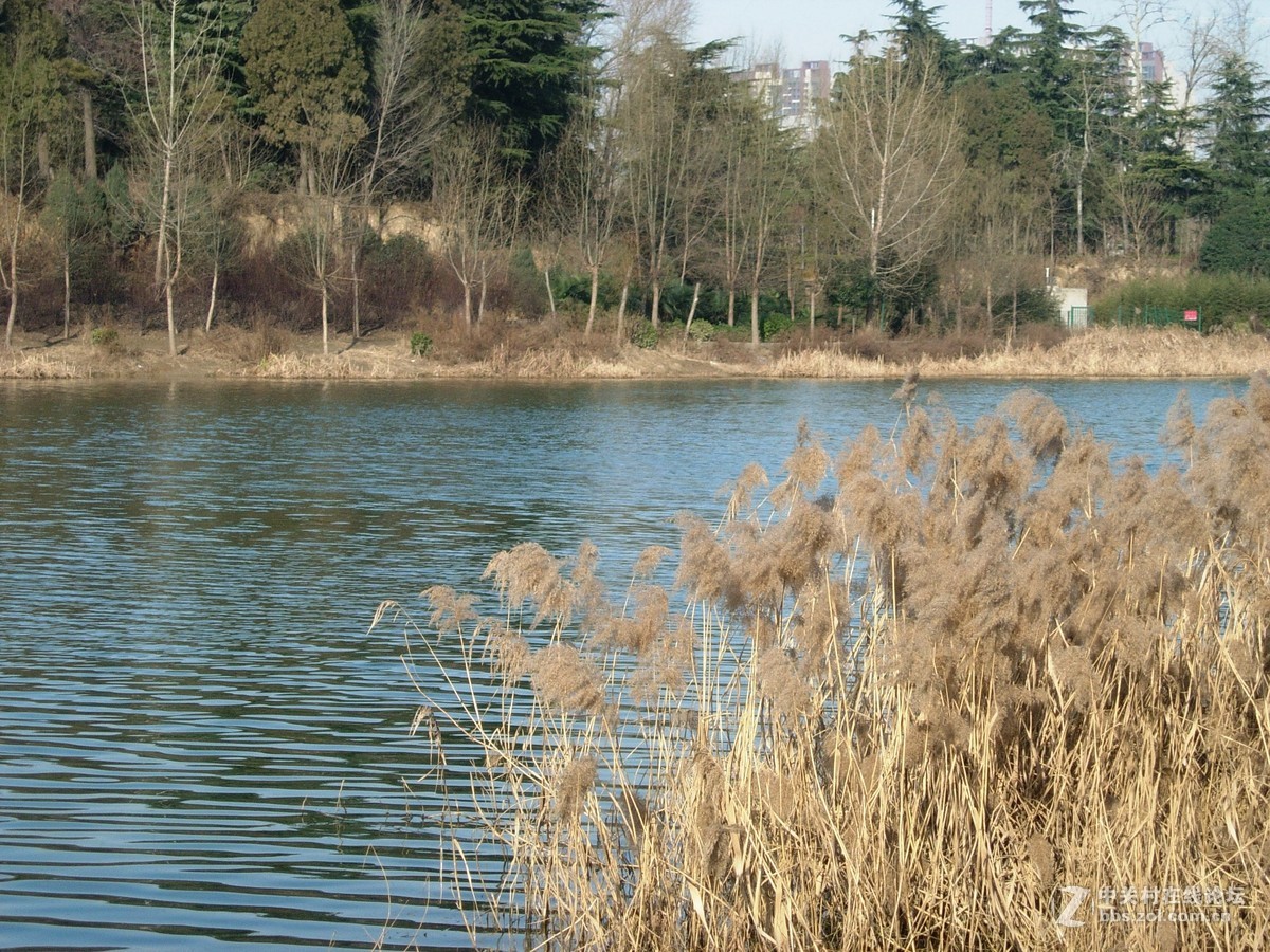 e5200拍的几张风景