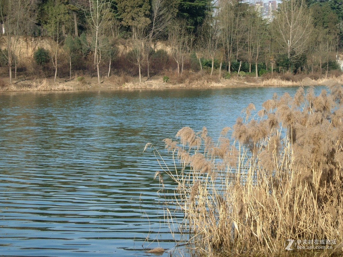 e5200拍的几张风景