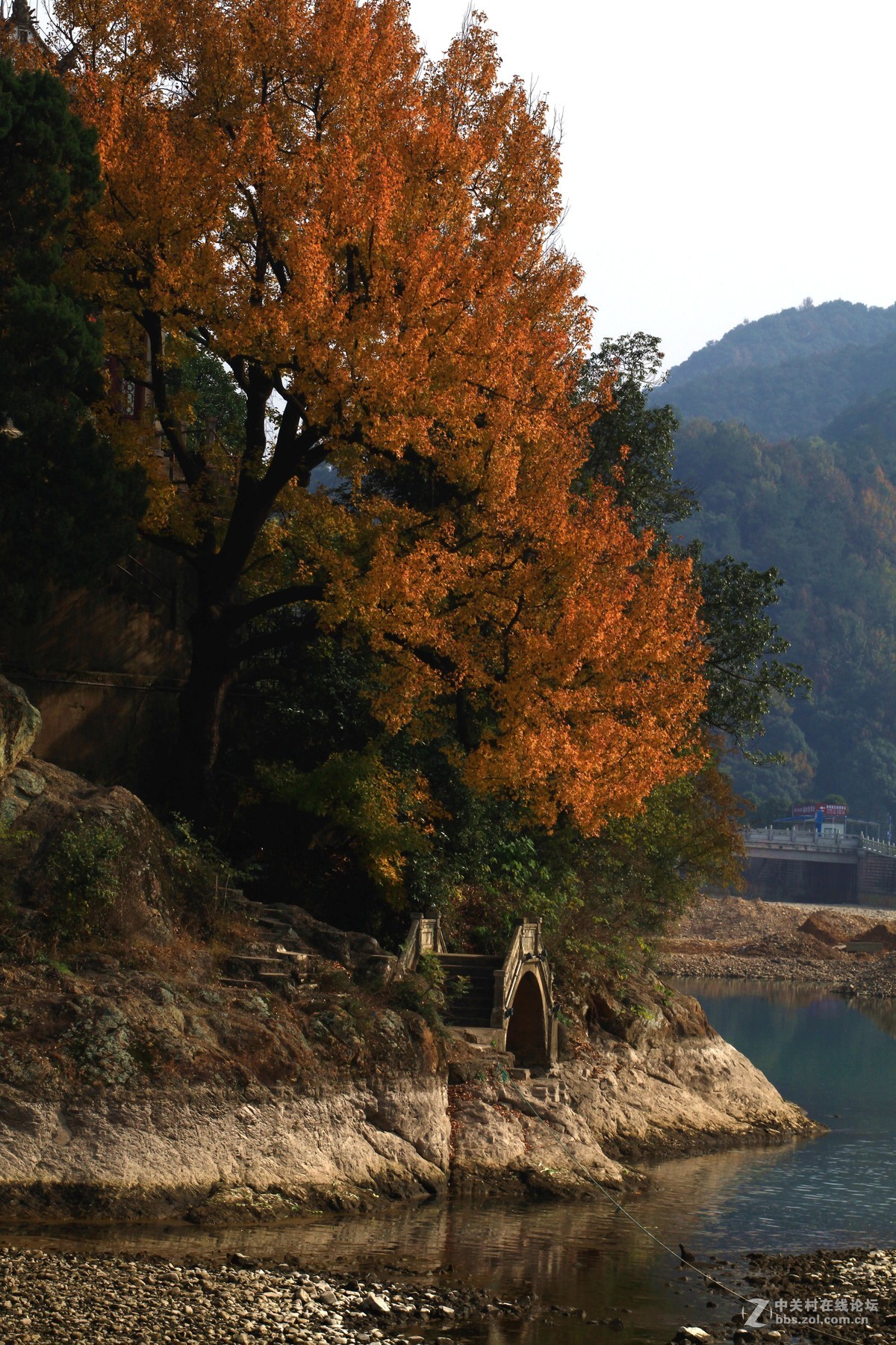 溪口武岭小洋楼
