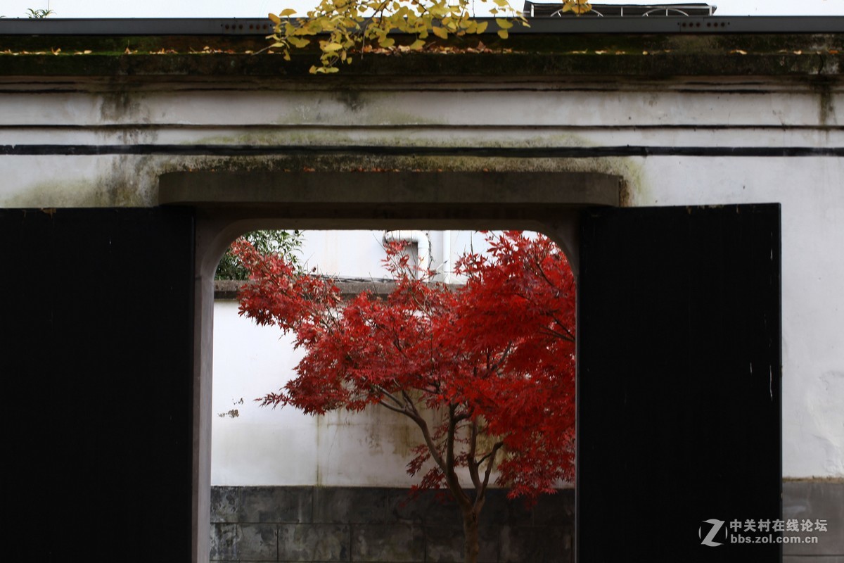 溪口武岭小洋楼