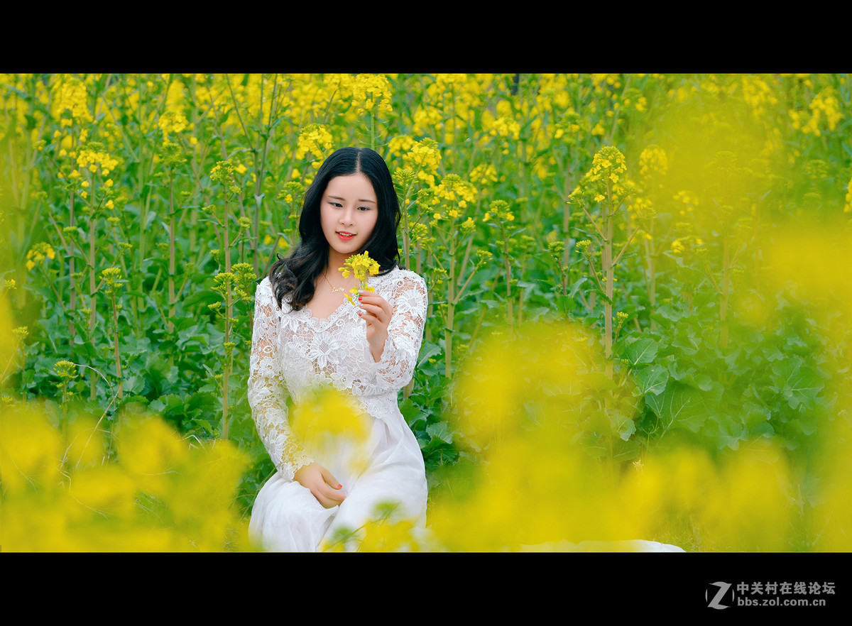 黄染菜花-中关村在线摄影论坛