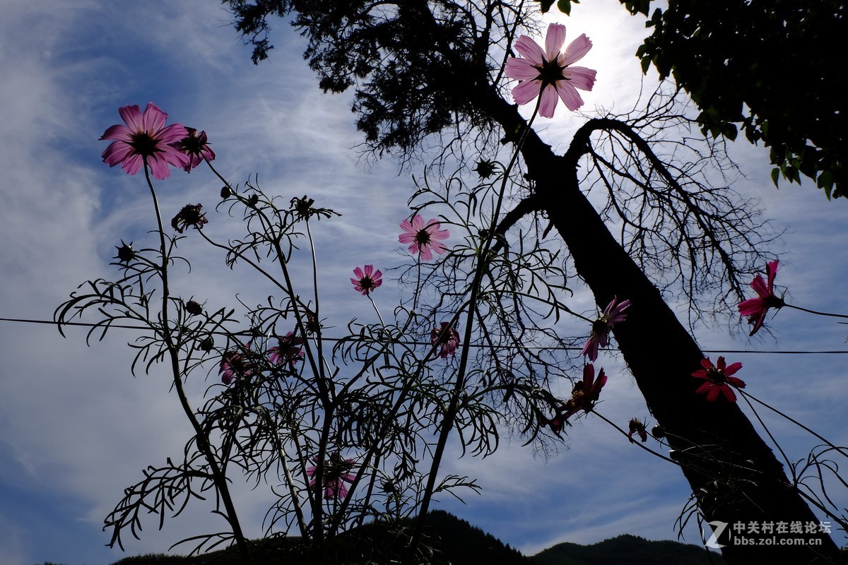 山村世外桃源。没有钢筋水泥玻璃的侵袭，见证百年历史。！富士直出！