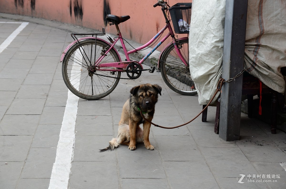 文殊院始建于隋大业年间（605-617）。康熙三十六年（1697年）集资重建庙宇，改称文殊