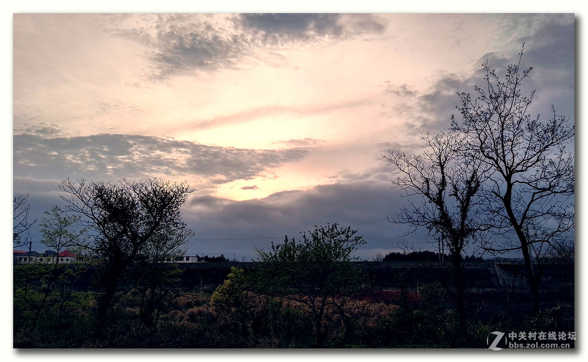 无题—手机杂拍