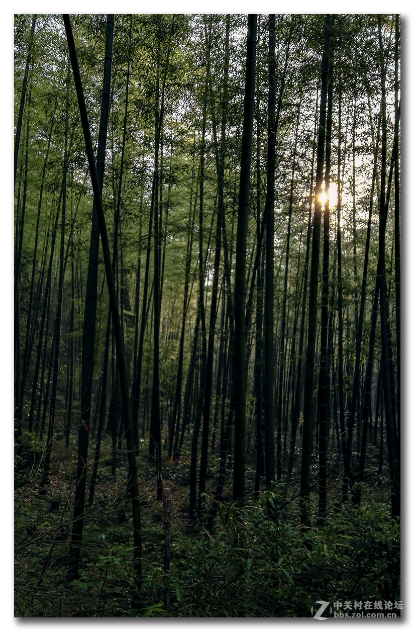 无题—手机杂拍