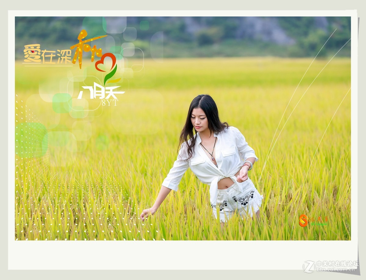 爱在深秋八月天