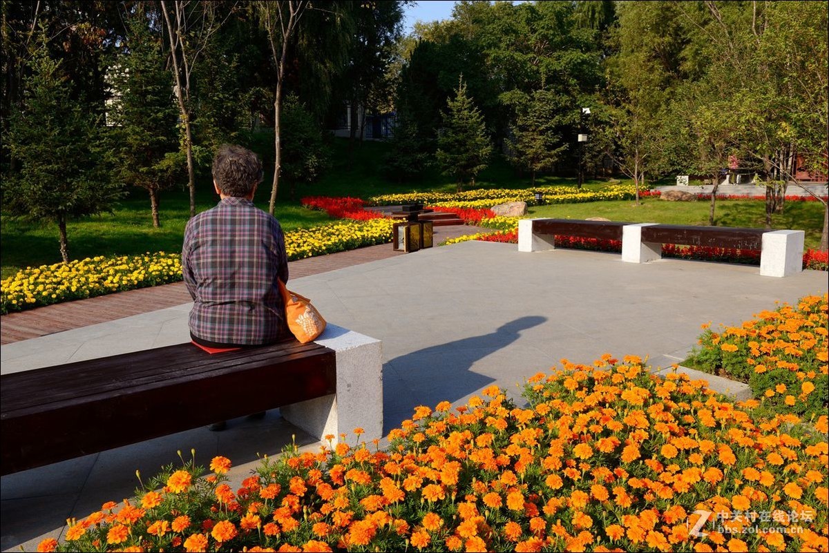 休闲随拍（329）