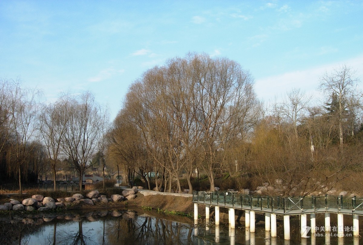 e5200拍的几张风景