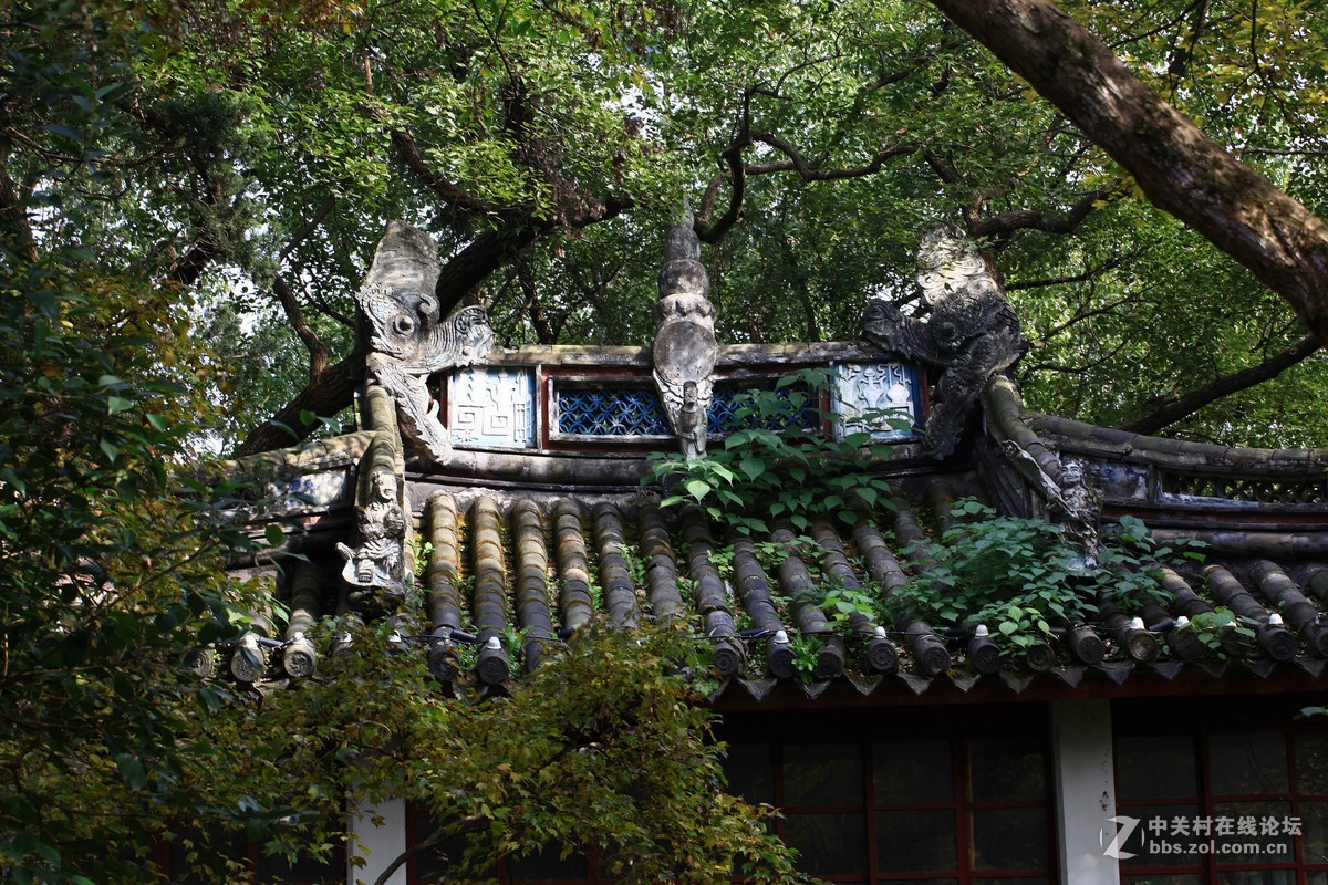 溪口武岭小洋楼