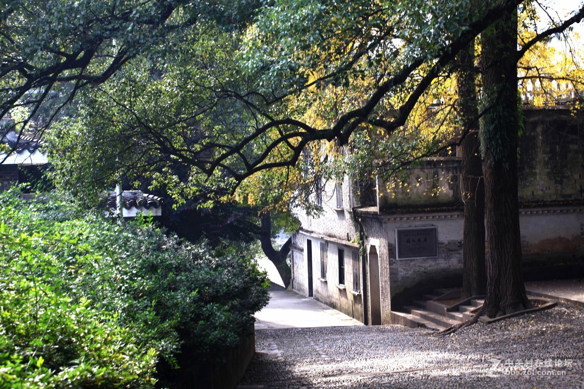 溪口武岭小洋楼