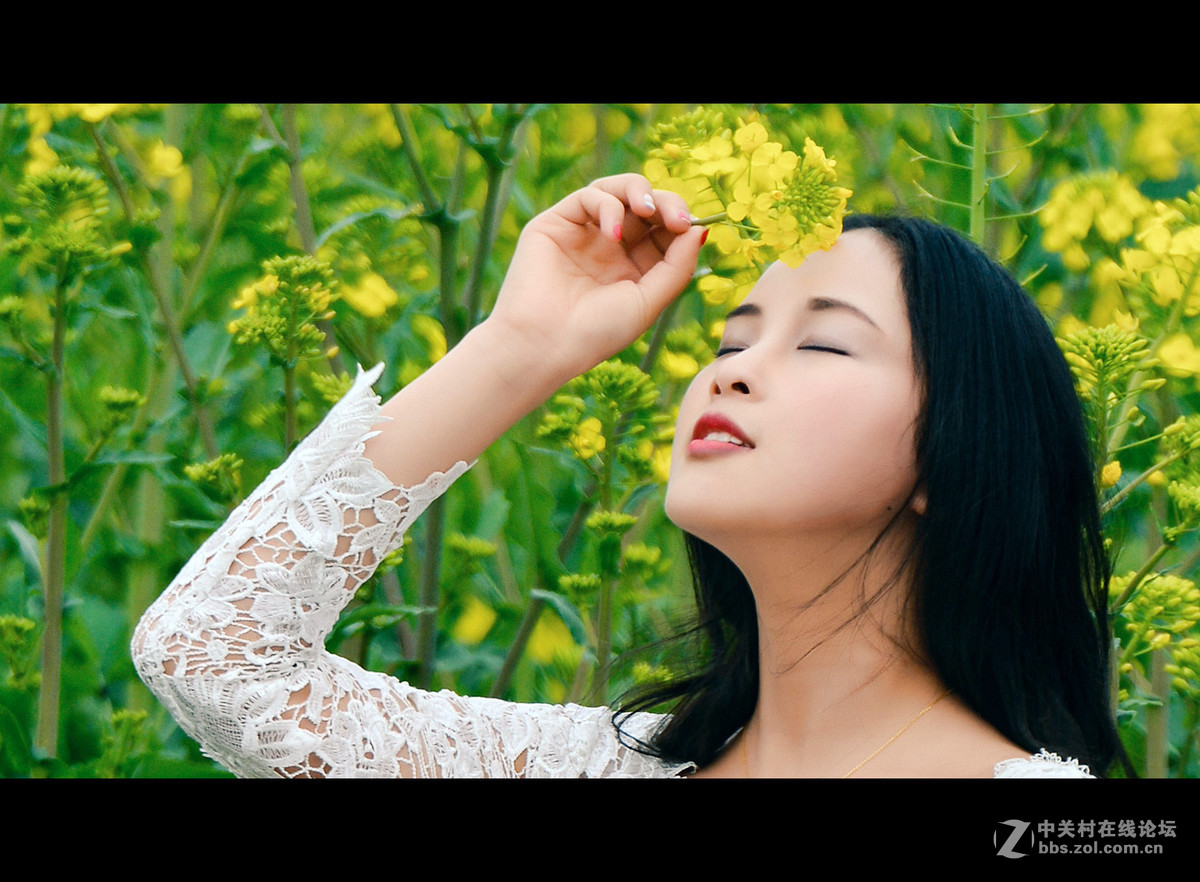 黄染菜花-中关村在线摄影论坛