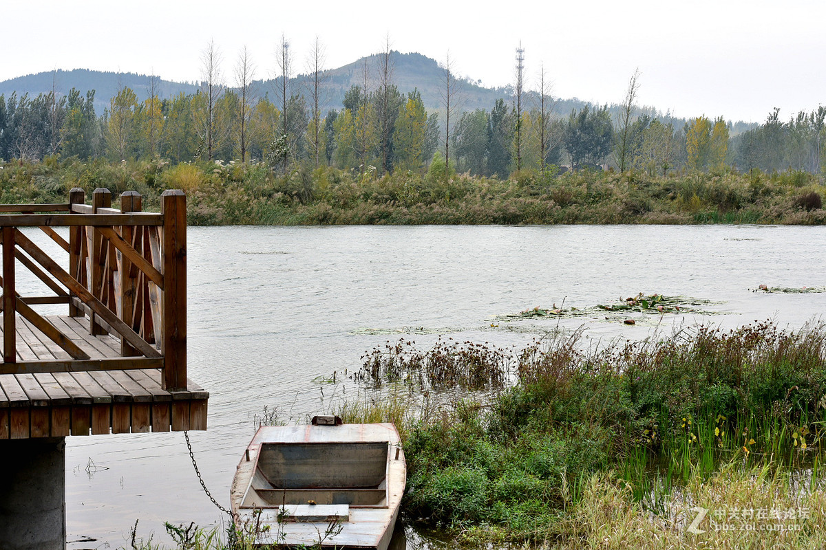 尼康D750+70-200镜头，鲜艳模式下，锐度7，ISO自动，光圈优先模式拍摄的图片，请指点