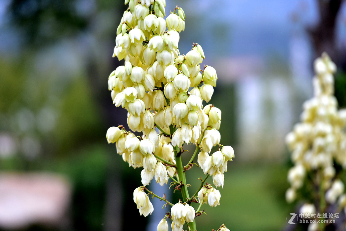 尼康D750+70-200镜头，鲜艳模式下，锐度7，ISO自动，光圈优先模式拍摄的图片，请指点