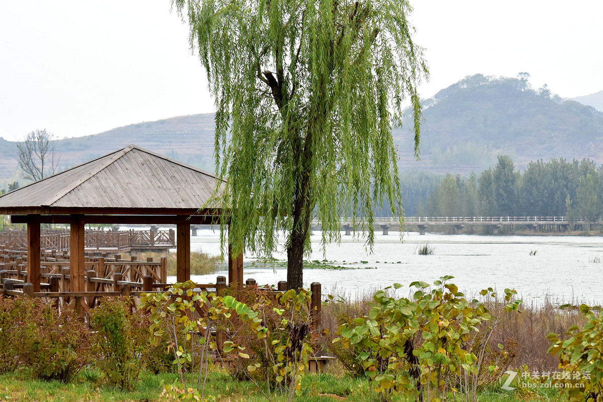 尼康D750+70-200镜头，鲜艳模式下，锐度7，ISO自动，光圈优先模式拍摄的图片，请指点