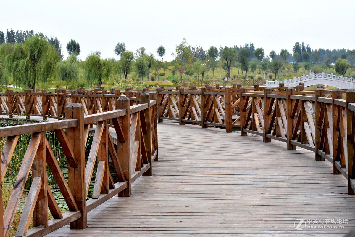 尼康D750+70-200镜头，鲜艳模式下，锐度7，ISO自动，光圈优先模式拍摄的图片，请指点