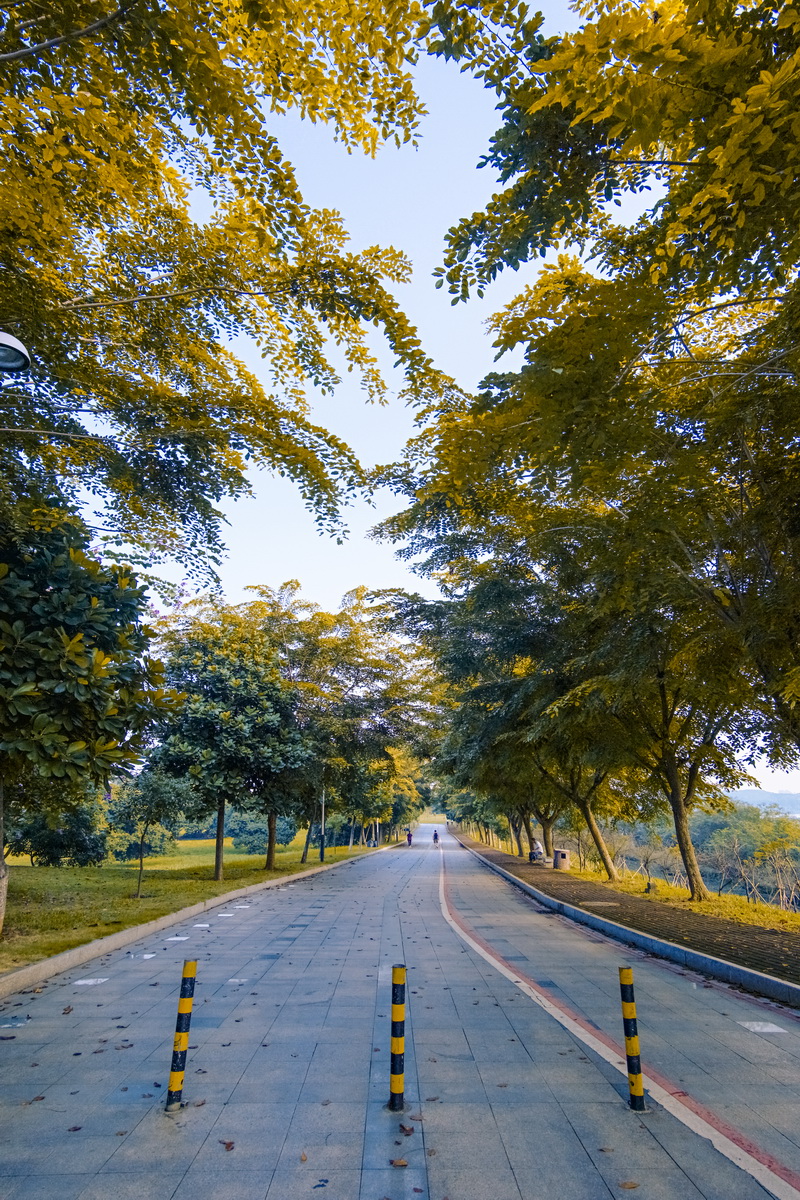 索尼a6000加三阳12mmf20超广角镜头拍摄