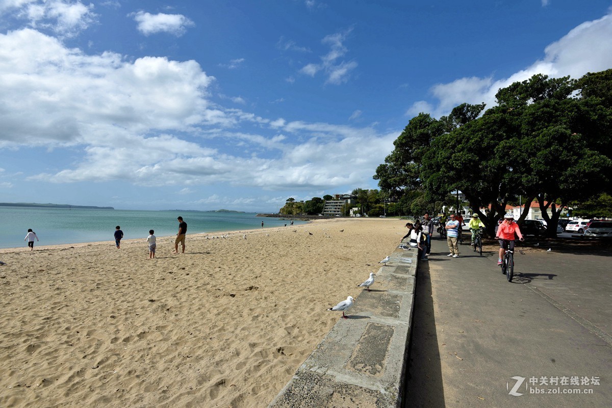 奥克兰市中心最近的使命湾 海滩