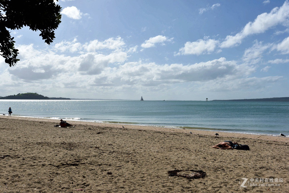 奥克兰市中心最近的使命湾 海滩