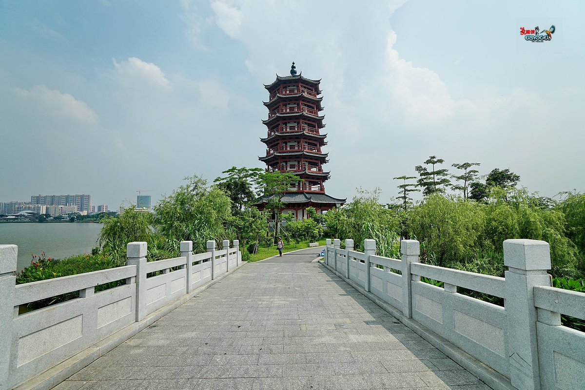 华阳湖湿地公园景色