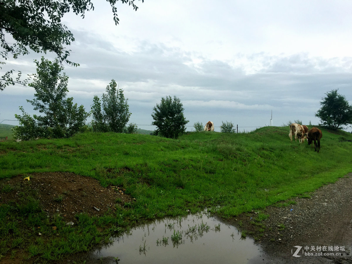 2016夏 长沙到漠河（8）阿鲁科尔沁旗