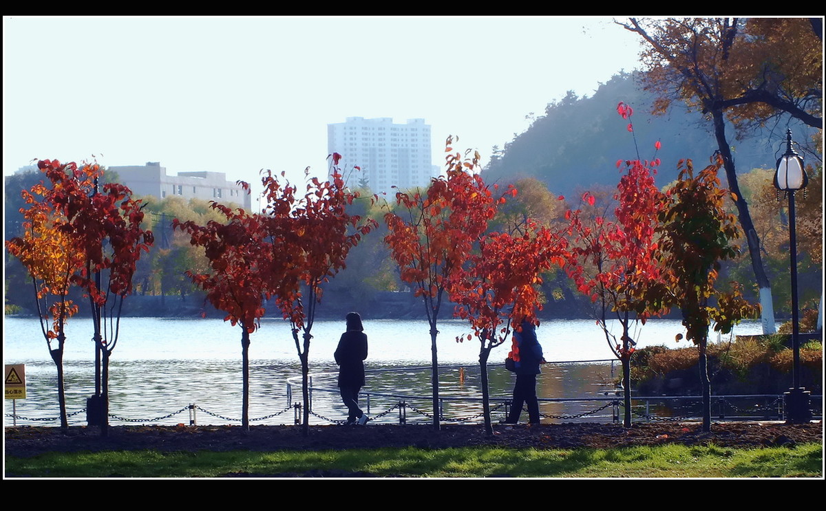 《秋光》小景。