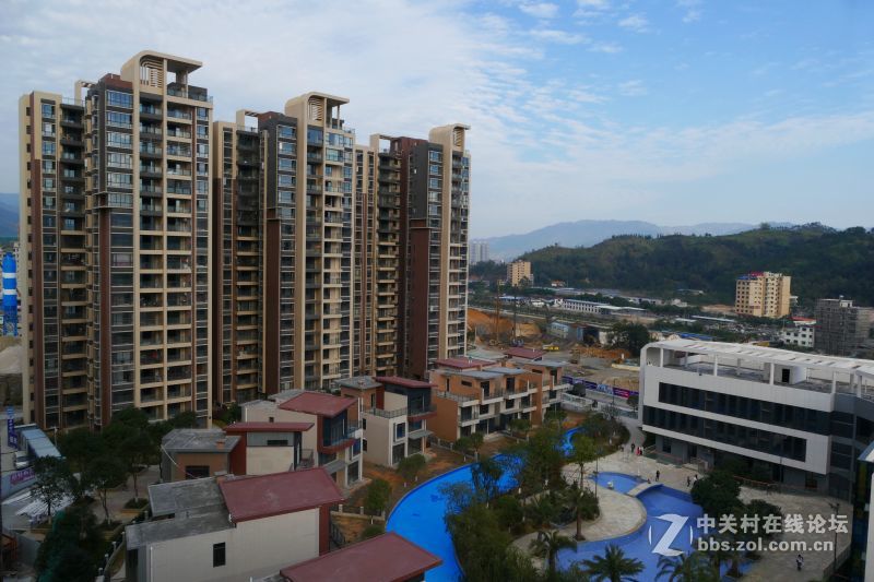 【首届【印象滨江国际城】摄影大赛】活动作业（初次发帖）