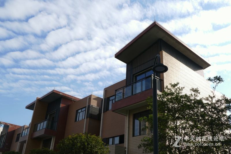 【首届【印象滨江国际城】摄影大赛】活动作业（初次发帖）