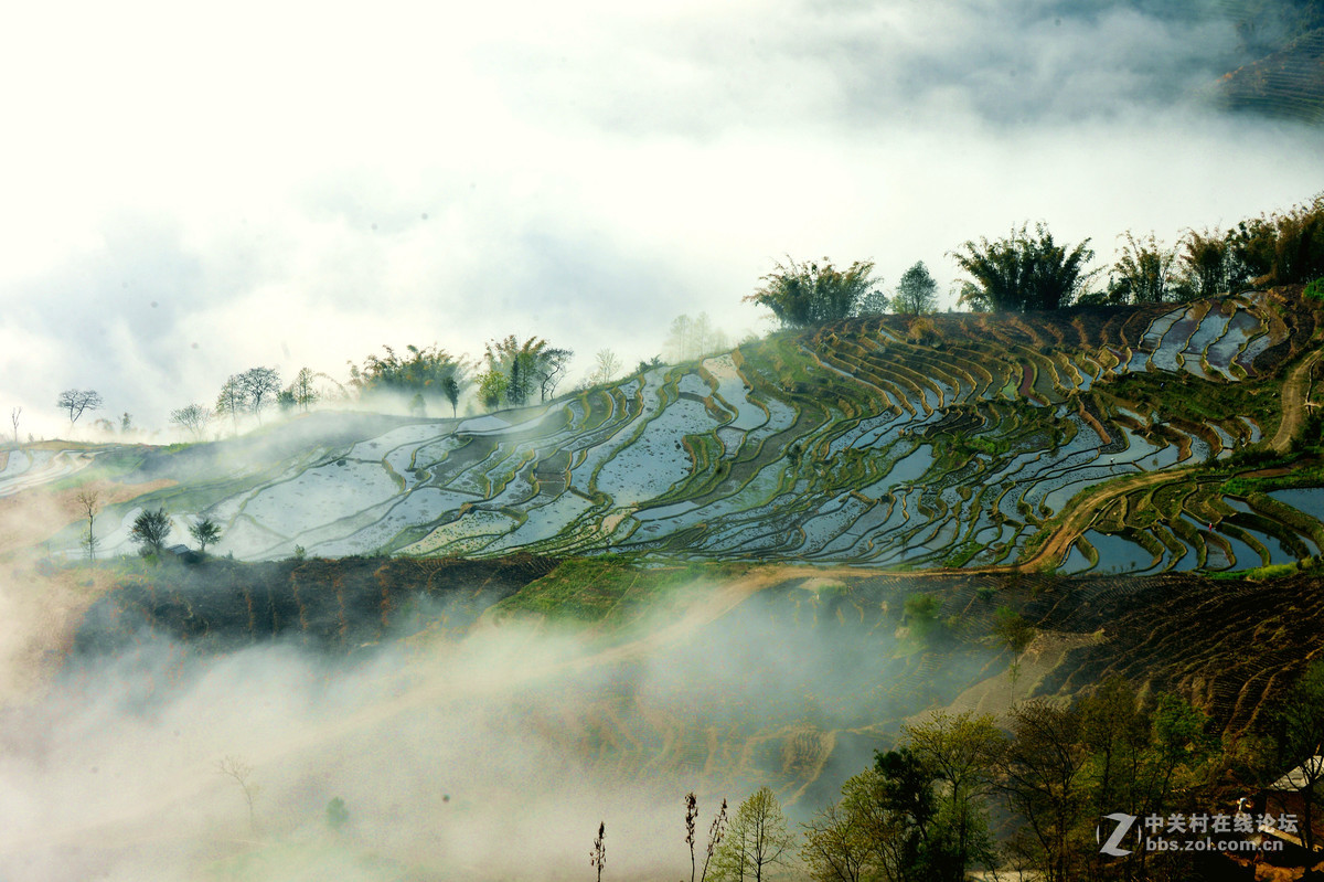 元阳梯田云