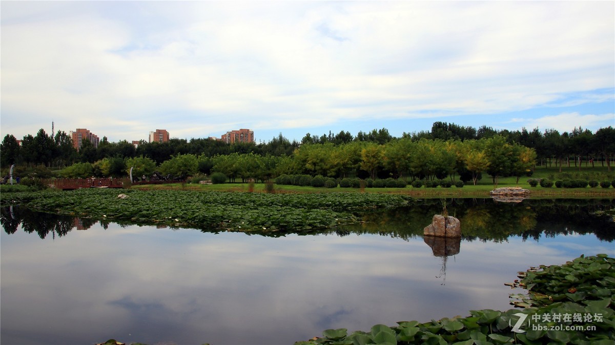 金秋时节花花草草
