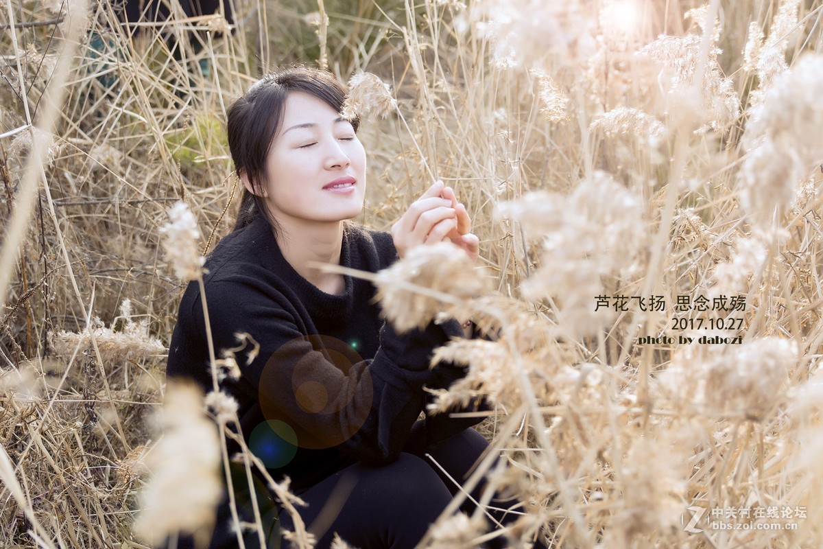 芦花飞扬 思念成殇