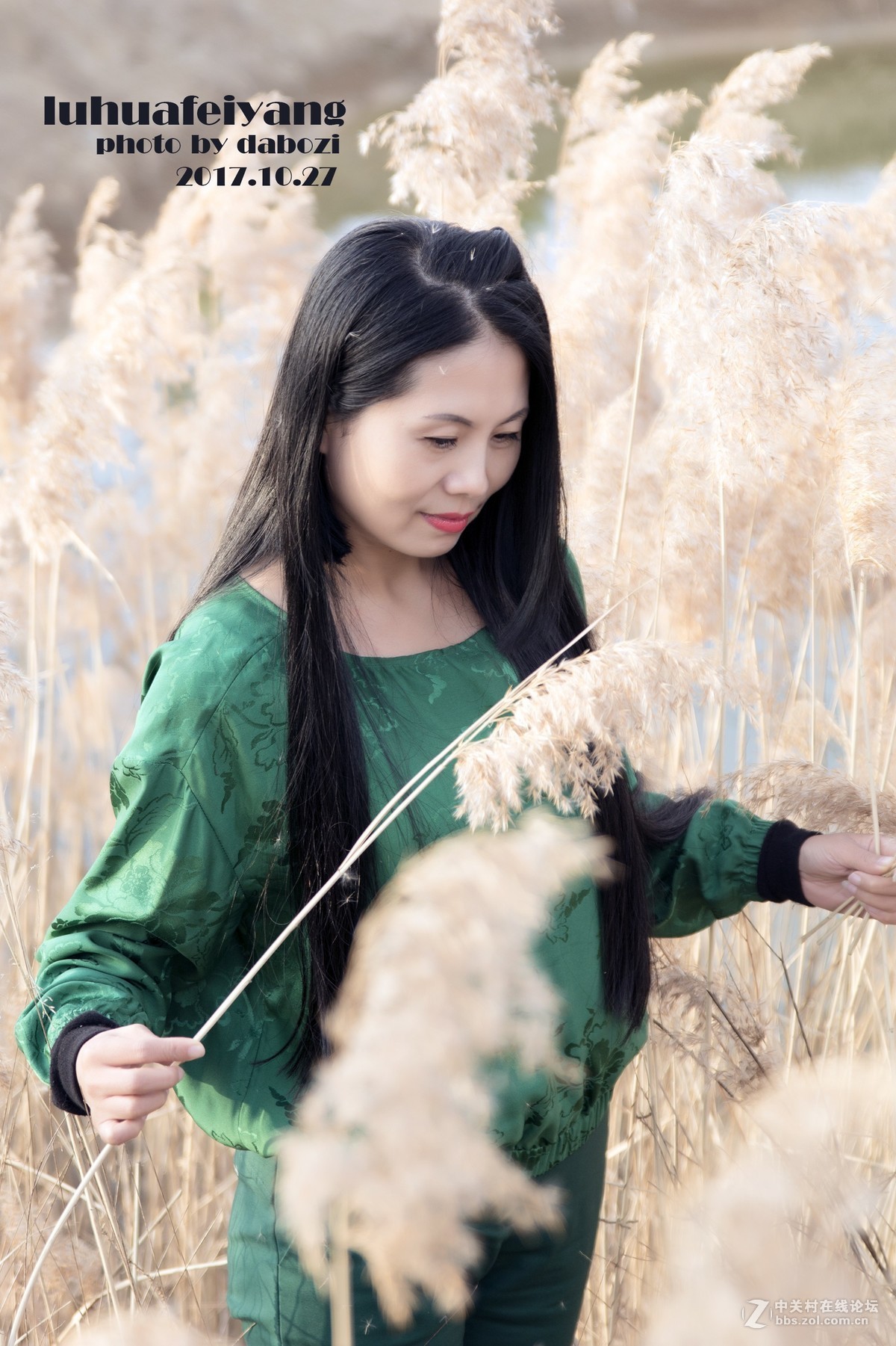 芦花飞扬 思念成殇