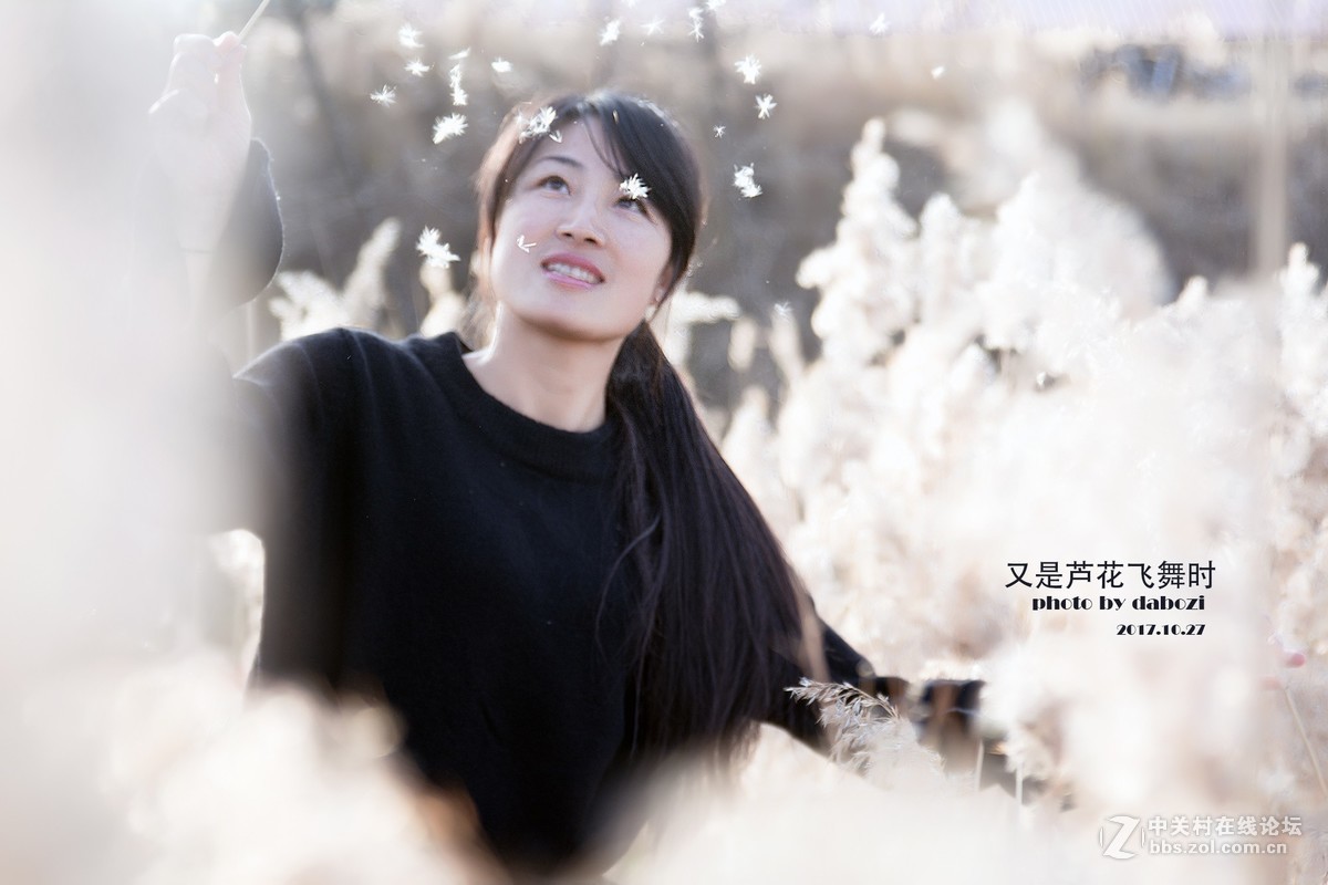 芦花飞扬 思念成殇