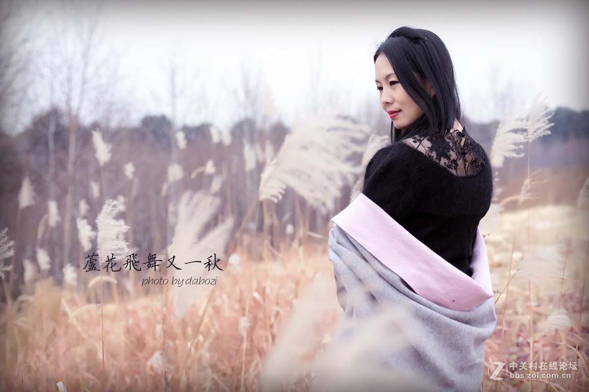 芦花飞扬 思念成殇