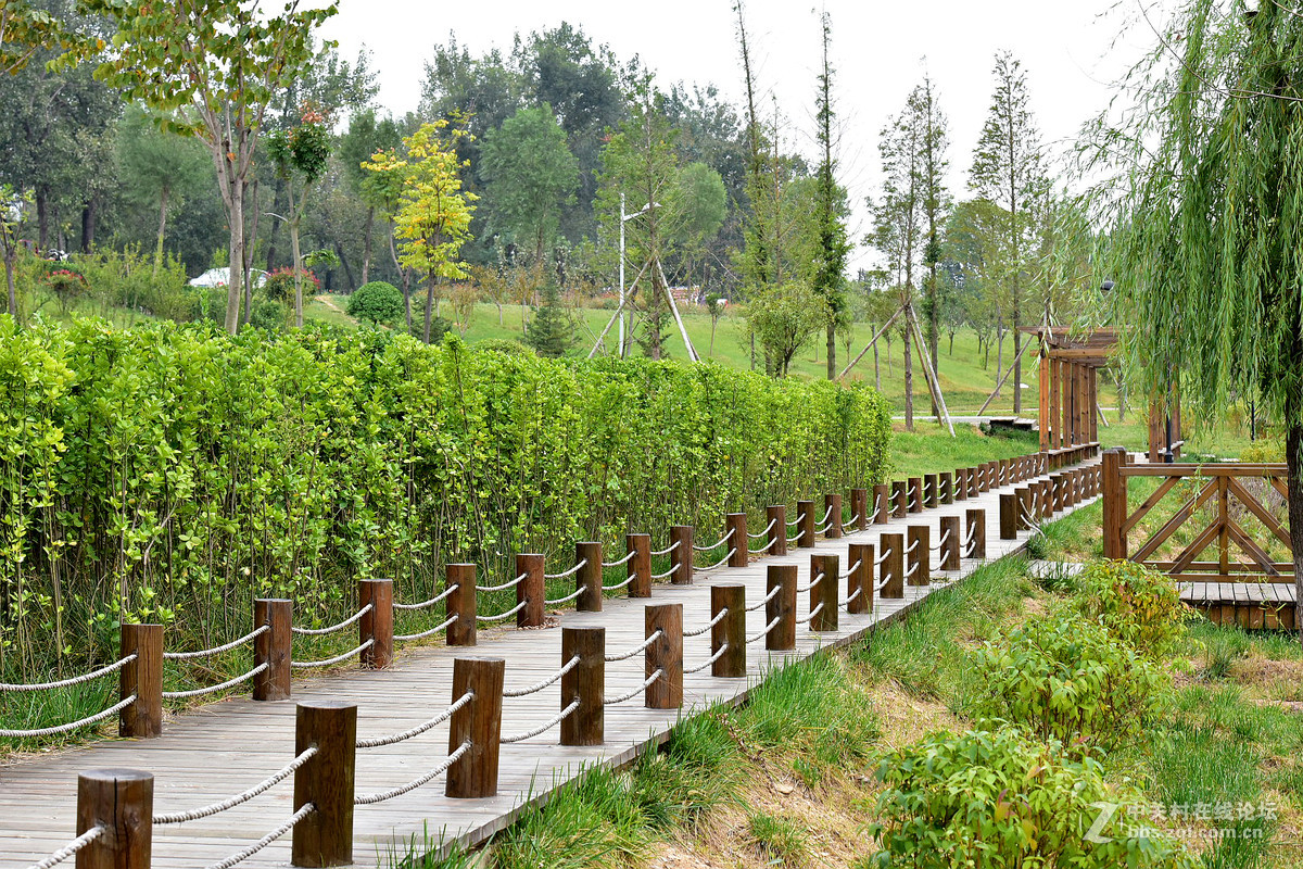 尼康D750+70-200镜头，鲜艳模式下，锐度7，ISO自动，光圈优先模式拍摄的图片，请指点