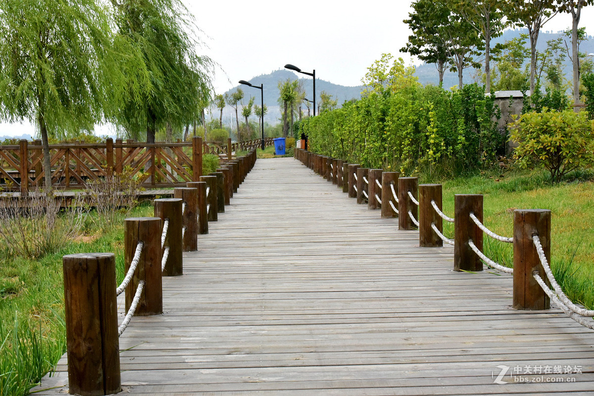 尼康D750+70-200镜头，鲜艳模式下，锐度7，ISO自动，光圈优先模式拍摄的图片，请指点