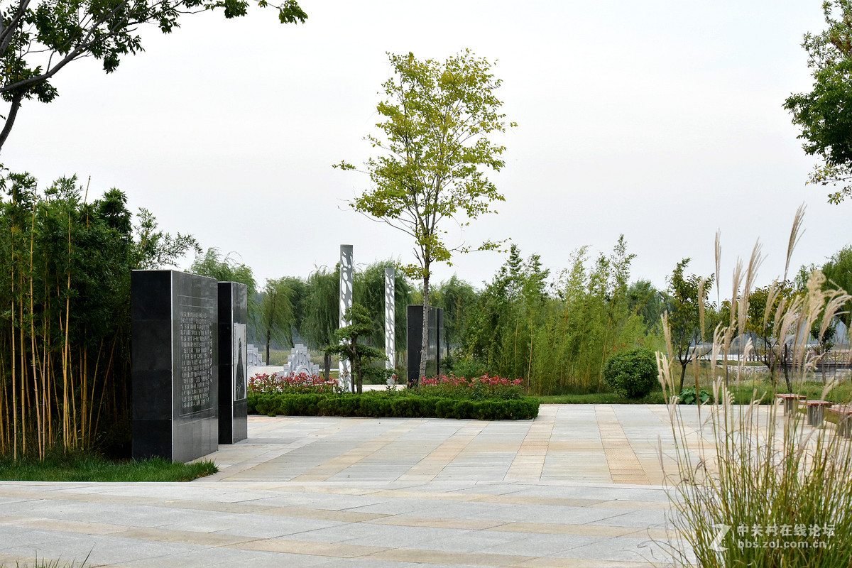 尼康D750+70-200镜头，鲜艳模式下，锐度7，ISO自动，光圈优先模式拍摄的图片，请指点